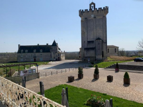 Appartement face au Donjon